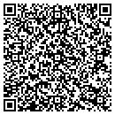 QR code with City Liquor & Grocery contacts