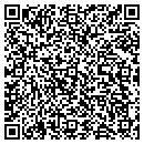 QR code with Pyle Trucking contacts