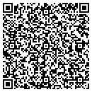 QR code with Precision Automotive contacts