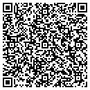 QR code with Carson Installations contacts