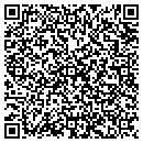 QR code with Terrier Town contacts