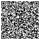 QR code with Public Works contacts