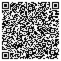 QR code with Chemko contacts
