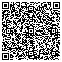 QR code with C Dvm contacts