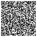 QR code with Chicago In Bloom Inc contacts