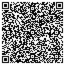 QR code with Public Library contacts