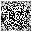 QR code with Psa- Usa Inc contacts