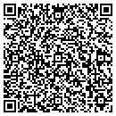 QR code with Carpet Care Plus Inc contacts