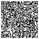 QR code with Pulse Systems Inc. contacts
