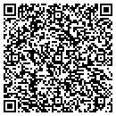 QR code with Prizm Custom Painting contacts