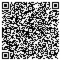 QR code with Steamn contacts