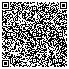 QR code with Blue View Pools contacts