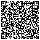 QR code with Cecile Boesen Dr Dvm contacts