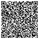 QR code with Pulse Medical Imaging contacts