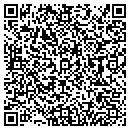 QR code with Puppy Palace contacts