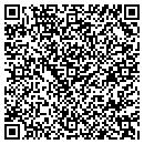 QR code with Copesan Services Inc contacts