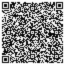 QR code with Blue Ribbon Grooming contacts
