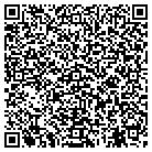 QR code with Badger Steam Cleaning contacts