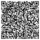 QR code with Bluepulse Inc contacts