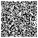 QR code with Carpet One Cleaning contacts