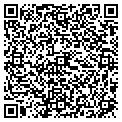 QR code with Nochi contacts