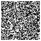 QR code with Blue Skies Builders Inc contacts