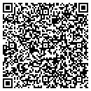 QR code with C V Fine Art Service contacts