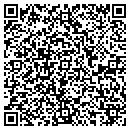QR code with Premier Log & Lumber contacts