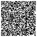 QR code with Blue Water Pools LLC contacts