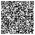 QR code with Misifus contacts