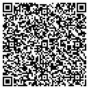 QR code with Cfo Accounting Center contacts