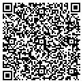 QR code with Dvm LLC contacts