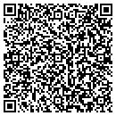 QR code with Pyramid Consulting contacts