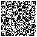 QR code with T Clay contacts