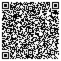 QR code with Wiser Power contacts