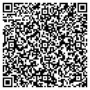 QR code with Pro Dirt Inc contacts