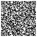 QR code with Pv Express Delivery Inc contacts