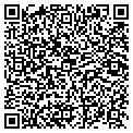 QR code with Window Medics contacts