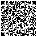 QR code with Pro Asphalters contacts