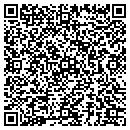 QR code with Professional Window contacts