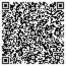QR code with Borzit Systems Inc. contacts