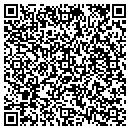 QR code with Proemion Inc contacts