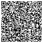 QR code with Blue Ridge Pest Control contacts