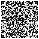 QR code with Carter Bros Windows contacts
