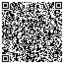 QR code with Pro View Windows Inc contacts