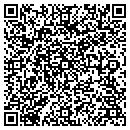 QR code with Big Lawn Films contacts