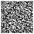 QR code with Chesney's Plumbing contacts