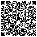 QR code with Pristine Window Repair contacts