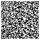 QR code with Professional Window contacts