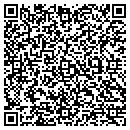 QR code with Carter Diversified Inc contacts